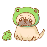 Sticker of a cute pug sticker #11616737