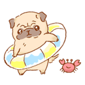 Sticker of a cute pug sticker #11616743