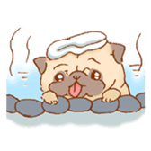 Sticker of a cute pug sticker #11616758