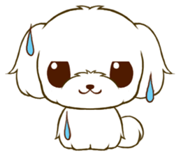 Maltese tan sticker #11617245