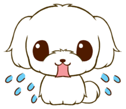 Maltese tan sticker #11617246