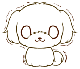 Maltese tan 2 sticker #11617892