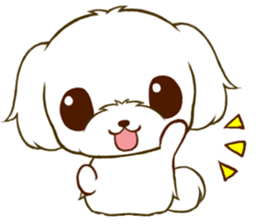 Maltese tan 2 sticker #11617893