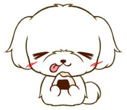 Maltese tan 2 sticker #11617907