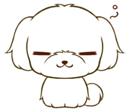 Maltese tan 2 sticker #11617910