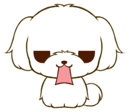 Maltese tan 2 sticker #11617916