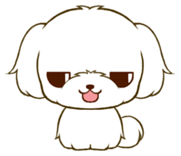 Maltese tan 2 sticker #11617922