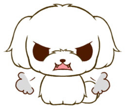 Maltese tan 2 sticker #11617924