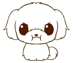 Maltese tan 2 sticker #11617925