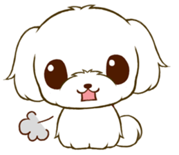 Maltese tan 2 sticker #11617926