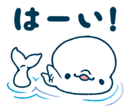 Short white dolphin. sticker #11618333