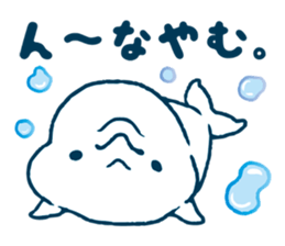 Short white dolphin. sticker #11618334
