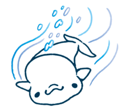 Short white dolphin. sticker #11618340