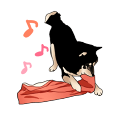 Black shiba inu loose Sticker sticker #11621977