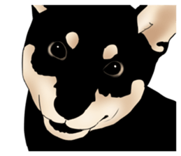 Black shiba inu loose Sticker sticker #11621978