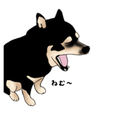 Black shiba inu loose Sticker sticker #11621980