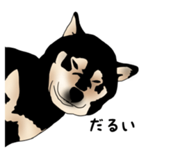 Black shiba inu loose Sticker sticker #11621982