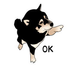 Black shiba inu loose Sticker sticker #11621994
