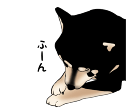 Black shiba inu loose Sticker sticker #11621998