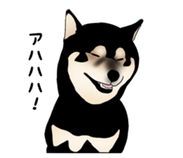 Black shiba inu loose Sticker sticker #11622000