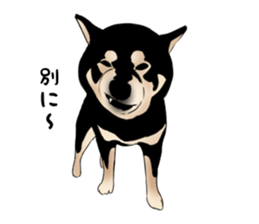 Black shiba inu loose Sticker sticker #11622001