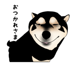 Black shiba inu loose Sticker sticker #11622002