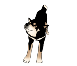 Black shiba inu loose Sticker sticker #11622005