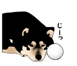 Black shiba inu loose Sticker sticker #11622006