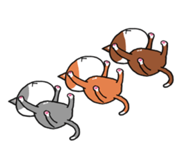 3 CATS ! sticker #11622861