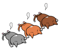 3 CATS ! sticker #11622865