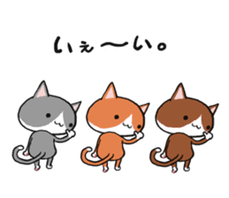 3 CATS ! sticker #11622874