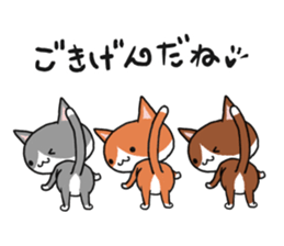 3 CATS ! sticker #11622880