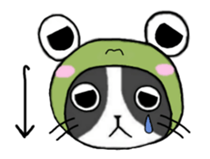 Frog cat 2 sticker #11624256