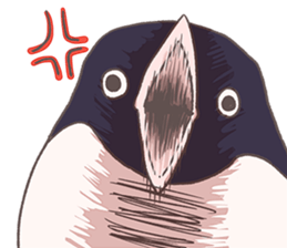 Tightly adelie penguin sticker #11624374