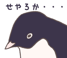 Tightly adelie penguin sticker #11624377