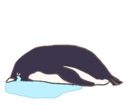 Tightly adelie penguin sticker #11624383