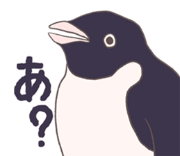 Tightly adelie penguin sticker #11624386