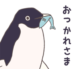 Tightly adelie penguin sticker #11624399