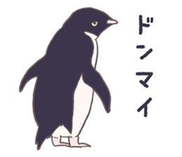 Tightly adelie penguin sticker #11624400