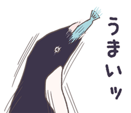 Tightly adelie penguin sticker #11624405
