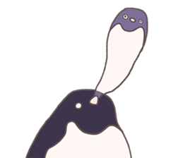 Tightly adelie penguin sticker #11624406