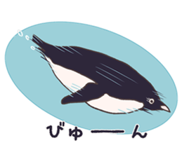 Tightly adelie penguin sticker #11624407