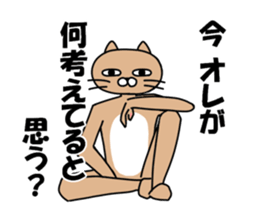 Provoke cat sticker #11624411