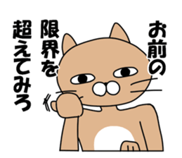 Provoke cat sticker #11624416