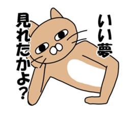 Provoke cat sticker #11624428