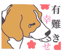 I love my beagle! 4 sticker #11624497