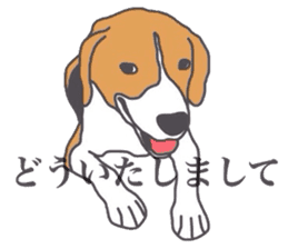I love my beagle! 4 sticker #11624499