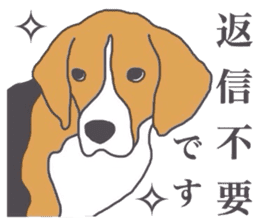 I love my beagle! 4 sticker #11624503