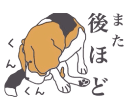 I love my beagle! 4 sticker #11624505