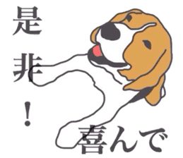 I love my beagle! 4 sticker #11624510
